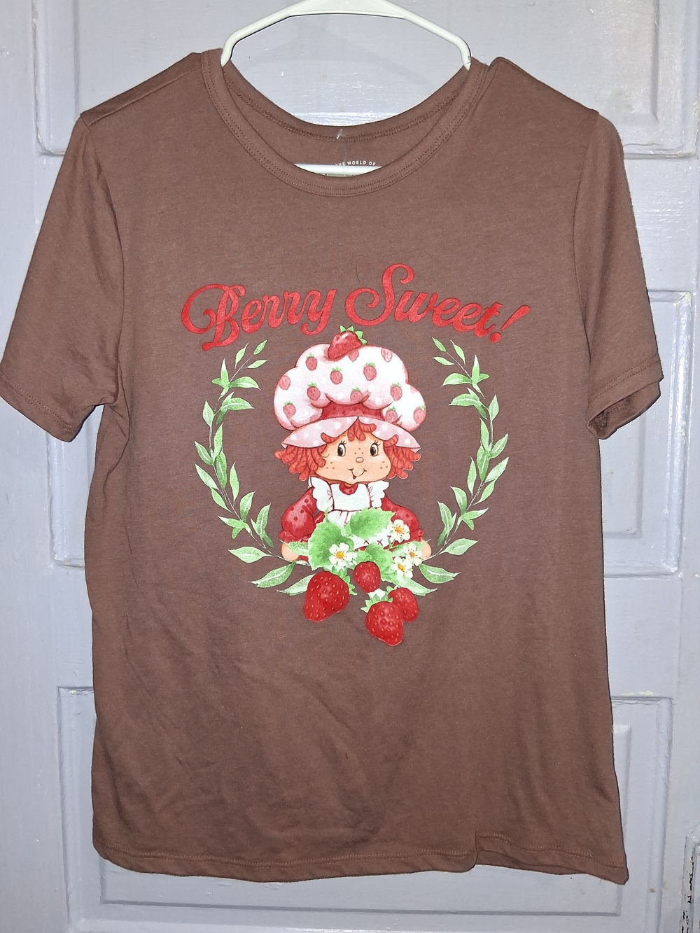 StrawBerry Shortcake Graphic Short Sleeve Tee - Brown